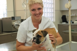 Preston Vet Clinic