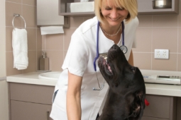 Preston Vet Clinic