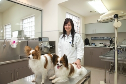 Preston Vet Clinic