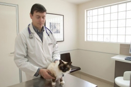 Preston Vet Clinic