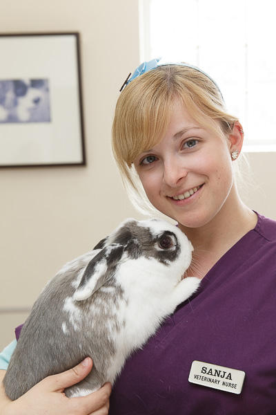Preston Vet Clinic Staff